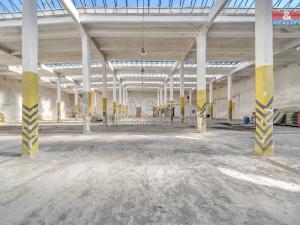 Prodej obchodního prostoru, Červená Voda, 1500 m2
