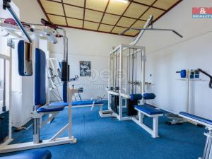 Prodej obchodního prostoru, Aš, Jateční, 200 m2