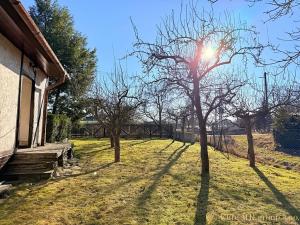 Prodej chalupy, Jívová, 129 m2