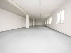 Pronájem výrobních prostor, Radošovice, 129 m2