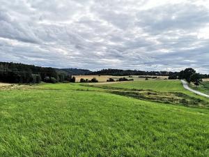 Prodej pozemku pro bydlení, Radomyšl, 10800 m2