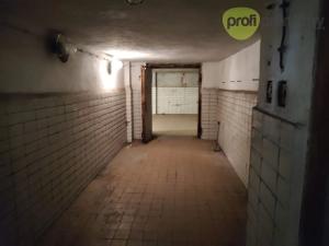 Pronájem skladu, Ostrava, Cihelní, 90 m2