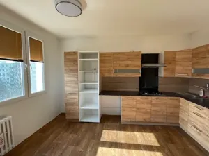 Pronájem bytu 1+1, Děčín, U Tvrze, 38 m2