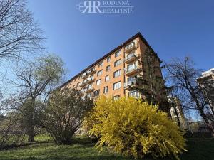 Prodej bytu 2+1, Praha - Žižkov, Pod lipami, 53 m2