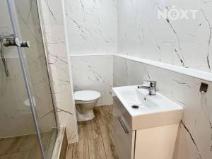 Pronájem bytu 1+1, Žatec, Růžová, 39 m2
