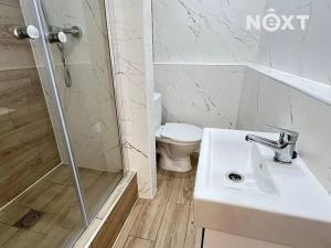 Pronájem bytu 1+1, Žatec, Růžová, 39 m2