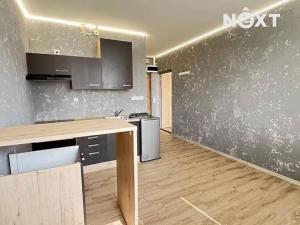 Pronájem bytu 1+1, Žatec, Růžová, 39 m2