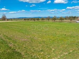 Prodej pozemku pro bydlení, Hřibiny-Ledská - Hřibiny, 1109 m2