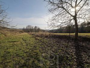 Prodej zemědělské usedlosti, Slabčice, 110 m2