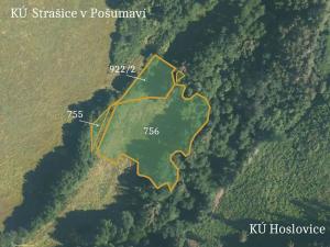 Prodej podílu louky, Nová Ves, 66544 m2