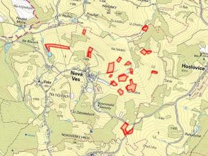 Prodej podílu louky, Nová Ves, 66544 m2