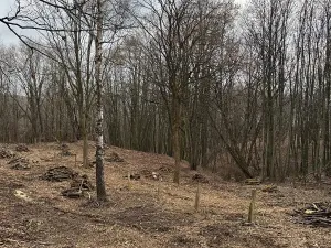 Prodej zahrady, Zlín, 1985 m2