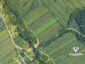 Prodej podílu pole, Javorník, 750 m2