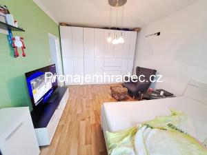 Pronájem bytu 1+1, Hradec Králové, Jungmannova, 45 m2