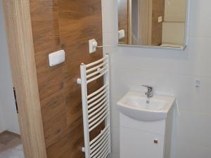 Pronájem bytu 1+1, Lovosice, Krátká, 43 m2