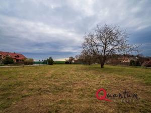 Prodej pozemku pro bydlení, Petříkov, 2604 m2