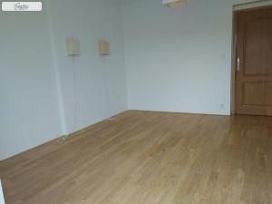 Pronájem bytu 3+kk, Praha - Žižkov, Baranova, 120 m2