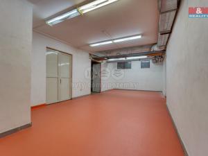 Pronájem skladu, Plzeň, Sousedská, 47 m2