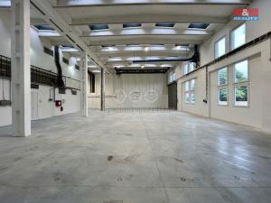 Pronájem výrobních prostor, Město Albrechtice, L. Janáčka, 410 m2