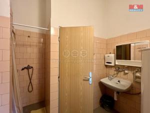 Pronájem výrobních prostor, Město Albrechtice, L. Janáčka, 410 m2