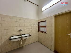 Pronájem výrobních prostor, Město Albrechtice, L. Janáčka, 410 m2