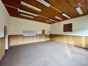 Pronájem výrobních prostor, Město Albrechtice, L. Janáčka, 410 m2