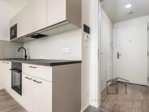 Pronájem bytu 1+kk, Praha - Žižkov, Malešická, 36 m2