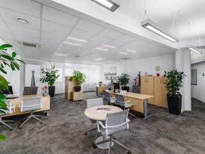 Pronájem obchodního prostoru, Mladá Boleslav, Pivovarská, 317 m2