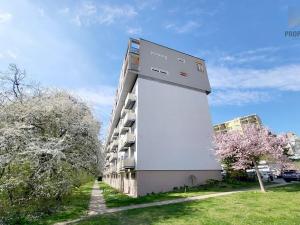 Pronájem bytu 2+1, Brno, Jírovcova, 62 m2