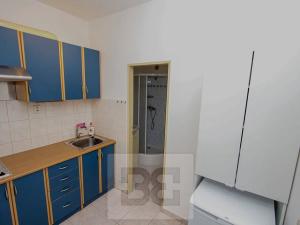 Pronájem bytu 1+kk, Praha - Vršovice, Petrohradská, 28 m2