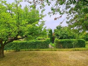 Prodej zahrady, Praha - Bohnice, U Drahaně, 256 m2