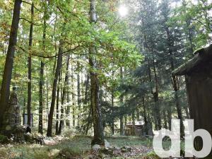 Prodej chaty, Dalovice, 17 m2