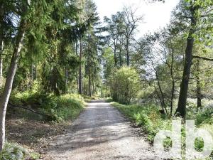 Prodej chaty, Dalovice, 17 m2