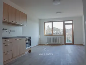 Pronájem bytu 1+kk, Osvětimany, 45 m2
