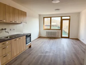 Pronájem bytu 1+kk, Osvětimany, 45 m2