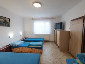 Prodej rodinného domu, Bánov, 315 m2