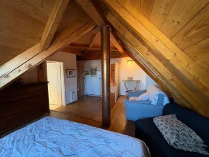 Prodej bytu 3+kk, Praha - Vinohrady, Šumavská, 107 m2