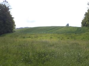Dražba louky, Pluhův Žďár, 2746 m2