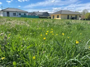 Prodej pozemku pro bydlení, Svojetice, 1000 m2