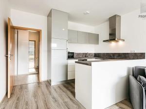 Prodej bytu 1+kk, Slavkov u Brna, Pod Oborou, 31 m2