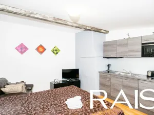 Prodej činžovního domu, Brno, 1000 m2
