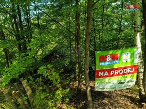 Prodej chaty, Rychnov nad Kněžnou, 25 m2