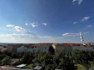 Pronájem bytu 3+kk, Praha - Vinohrady, Chodská, 90 m2