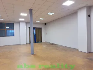 Pronájem výrobních prostor, Kostomlaty nad Labem, 367 m2