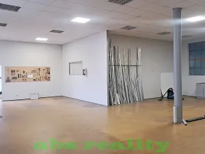 Pronájem výrobních prostor, Kostomlaty nad Labem, 367 m2