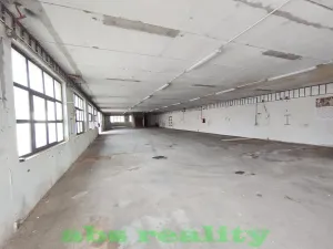 Pronájem skladu, Straky, 850 m2