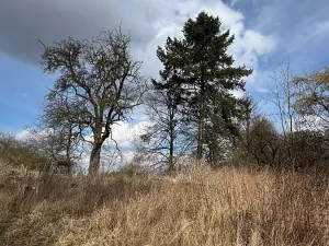 Prodej rodinného domu, Mišovice, 910 m2