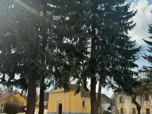 Prodej rodinného domu, Mišovice, 910 m2