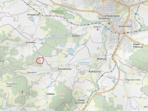 Prodej lesa, Sousedovice, 2568 m2