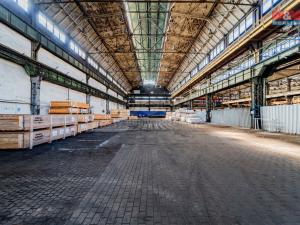 Pronájem výrobních prostor, Ostrava - Vítkovice, 4488 m2